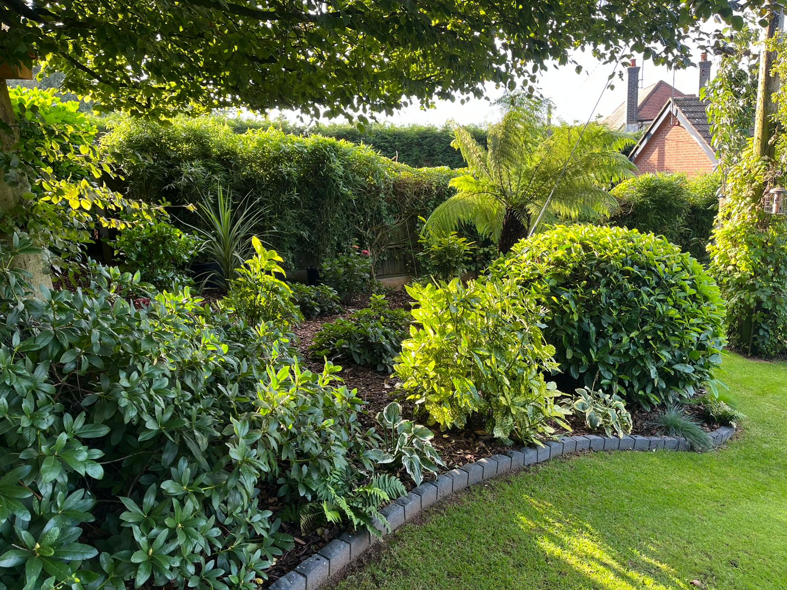 Portfolio image 23